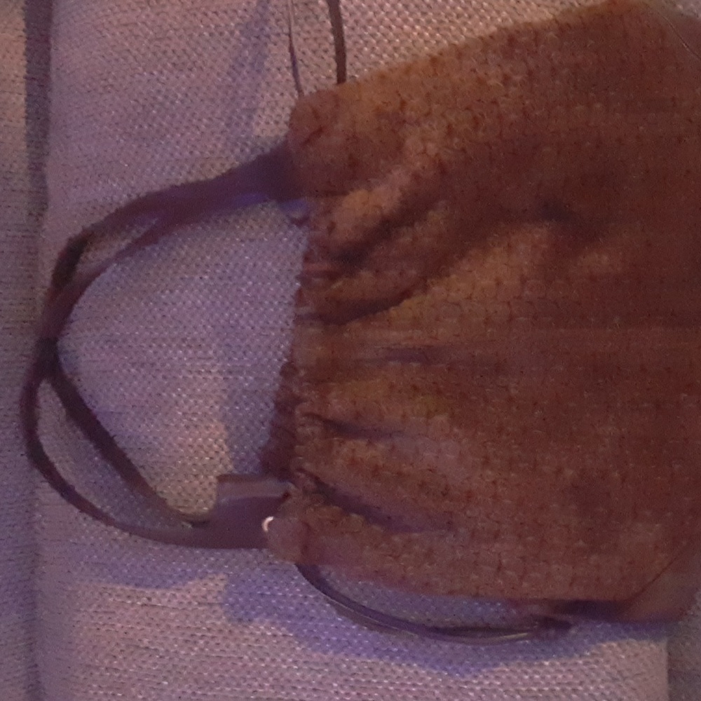 Bottega Veneta bag